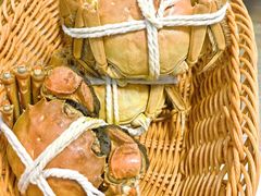 -蟹村草堂·苏式园林人文农家·大闸蟹