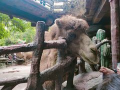 -长鹿旅游休博园