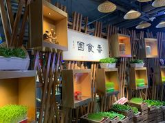 -番食园鲜食火锅(高新店)