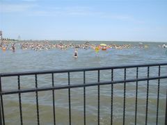 -碧海金沙