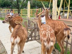 -佛山科学馆