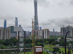 -小茶闲舍·观景商务茶馆(广州塔店)