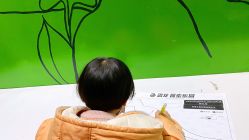 -恐龙探索乐园(磁器口店)