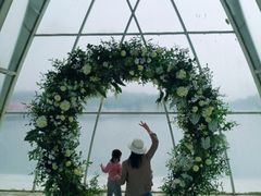-大塘金香草谷