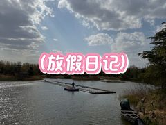 -山东八大碗山东老字号