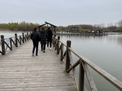 -溱湖国家湿地公园