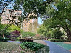 -徐家汇源景区-衡山公园