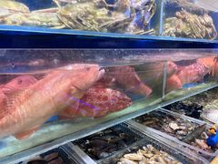 -鹊华居·地道鲁菜·海鲜·融合味(大明湖店)