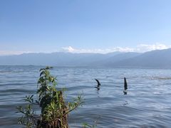 -大理洱海