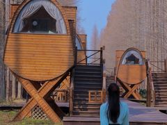 -黄海国家森林公园