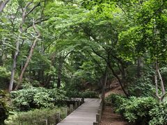 -青岛海滨风景区