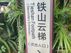 -铁山坪森林公园