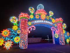 -广西壮族自治区药用植物园
