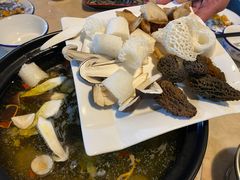 -蘑统田下·野生菌火锅