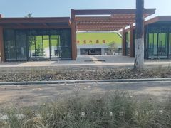 -合肥滨湖国家森林公园