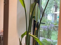 -BOCATA 西班牙餐厅(三里屯店)