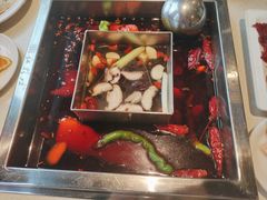 特型牛油鸳鸯锅-红鼎坊·老成都火锅(新南门店)