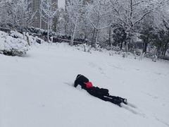 -洋湖国家湿地公园