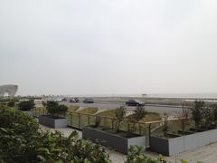 -南汇嘴观海公园