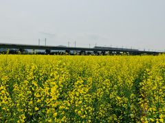 -光明小镇欢乐田园