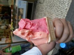-柠檬车露(卖草地店)