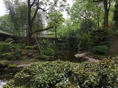 -南山植物园