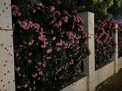 -黄浦路(地铁站)