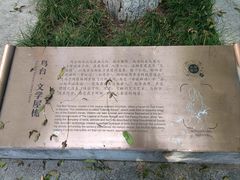 -北极阁公园