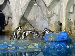 -太平洋海底世界