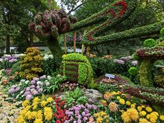 -杭州植物园