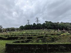 -紫马岭公园