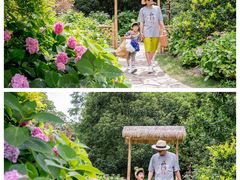 -共青国家森林公园-售票处