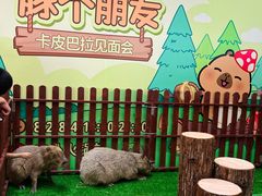 -万泰汇购物中心