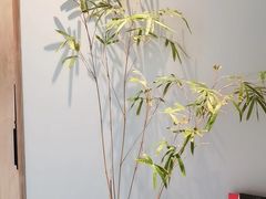 -花城苑广府菜(海心沙店)
