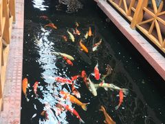 -侠成水上农庄(工业大道店)