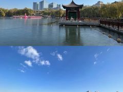 -莲花池公园