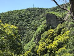 -阳台山自然风景区