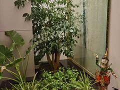 -域SPA·足疗·按摩·养生(静安寺店)