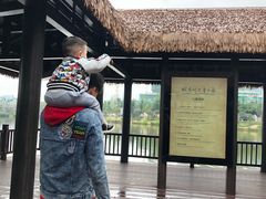 -枫香湖儿童公园