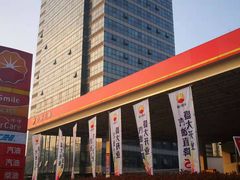 -中国石油徐东路加油站(武汉大道店)