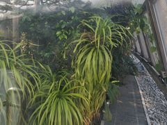 -北京植物园-展览温室