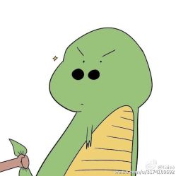 点击看大图 -完美新娘婚纱摄影