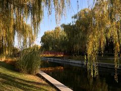 -元大都城垣遗址公园