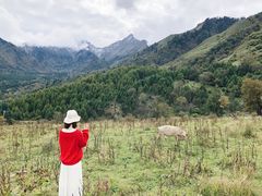 -硗碛藏寨·神木垒景区