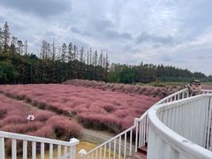 -嘉北郊野公园