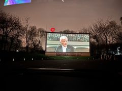 -枫花园汽车电影院(朝阳公园店)