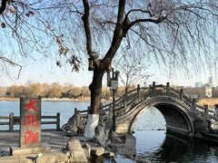 -济南大明湖景区