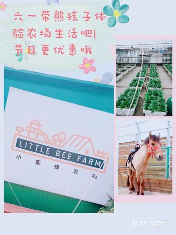 六一带宝宝体验小蜜蜂农场生活吧 儿童节更多优惠噢