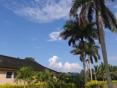 -西双版纳傣族园