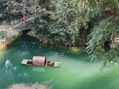 -十八棵（老龙井）御茶园(老龙井店)